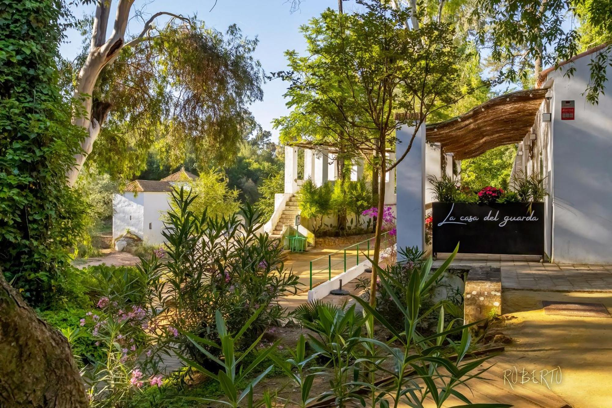 Apartamento Nuevo Centrico Con Aparcamiento Privado Incluido Alcalá de Guadaira Dış mekan fotoğraf